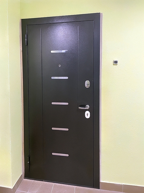 Порошковая дверь в квартиру