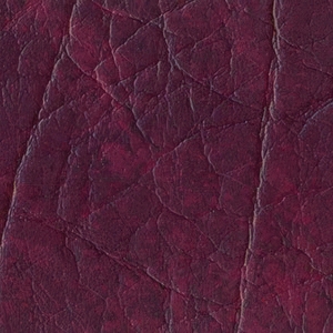 Вишня (Кенвуд) Вишня (Кенвуд)