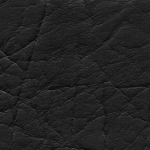 Черный (Кенвуд) Черный (Кенвуд)