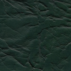 Зеленый (Венеция) Зеленый (Венеция)