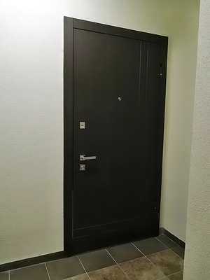 Фото двери для квартиры Фото двери для квартиры