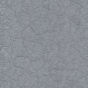 Крокодил серый Крокодил серый